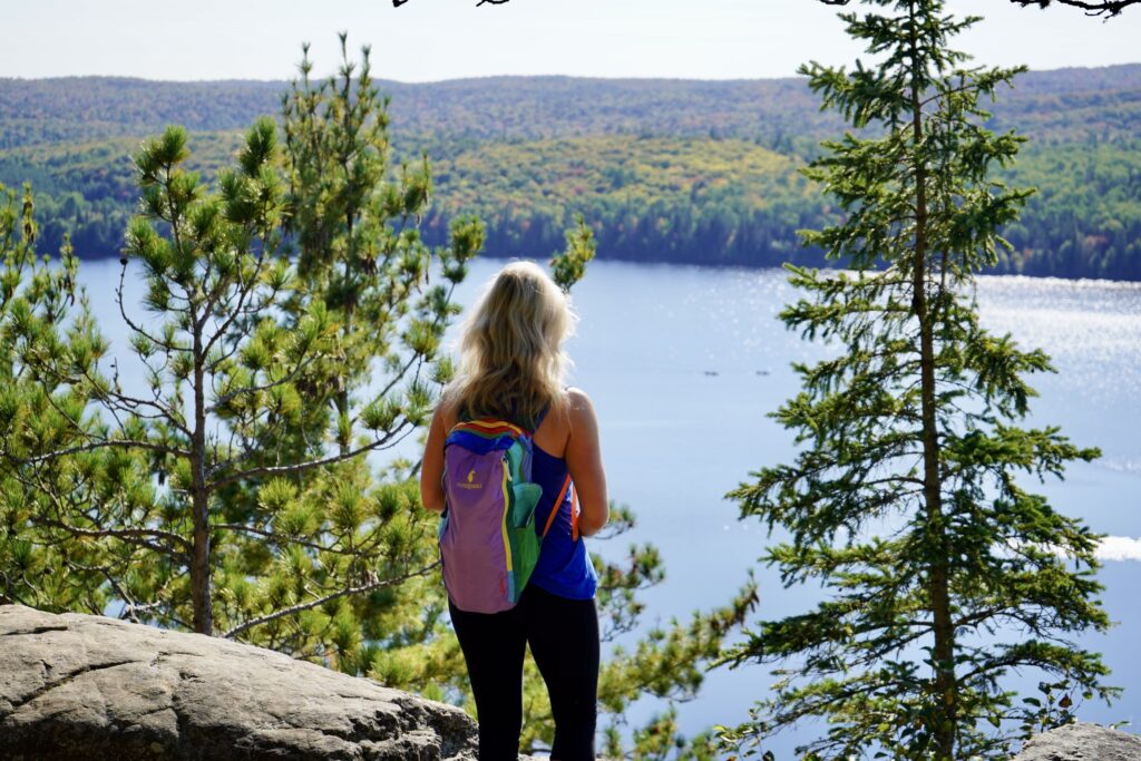 Algonquin Provincial Park Highway 60 Corridor