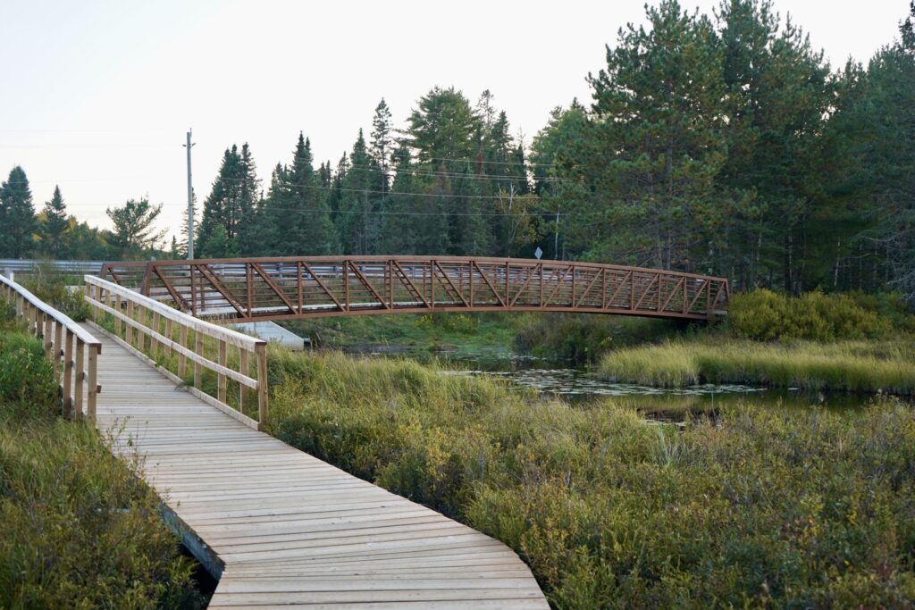 Algonquin Provincial Park Highway 60 Corridor