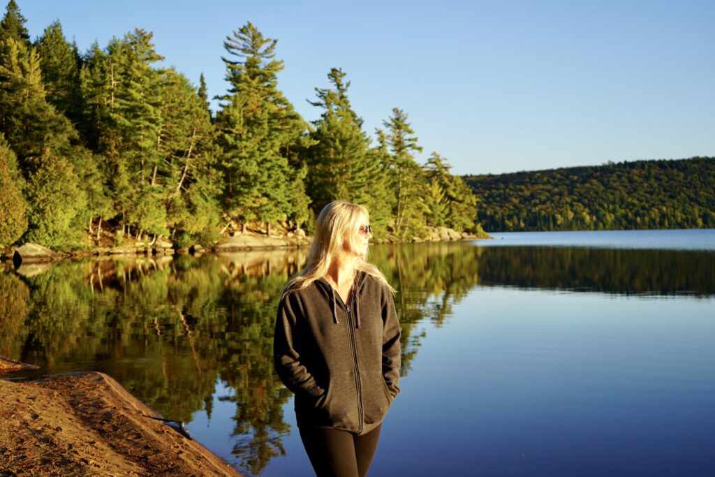 Algonquin Provincial Park Highway 60 Corridor