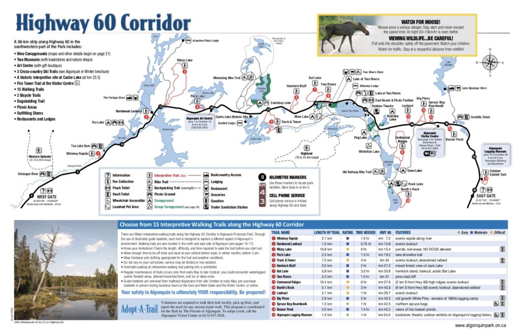 Algonquin Provincial Park Highway 60 Corridor