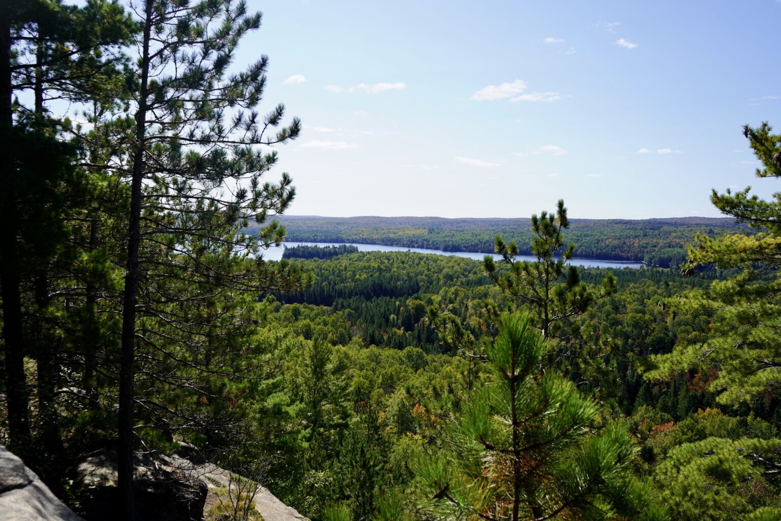 Algonquin Provincial Park Highway 60 Corridor: Ultimate Guide ...