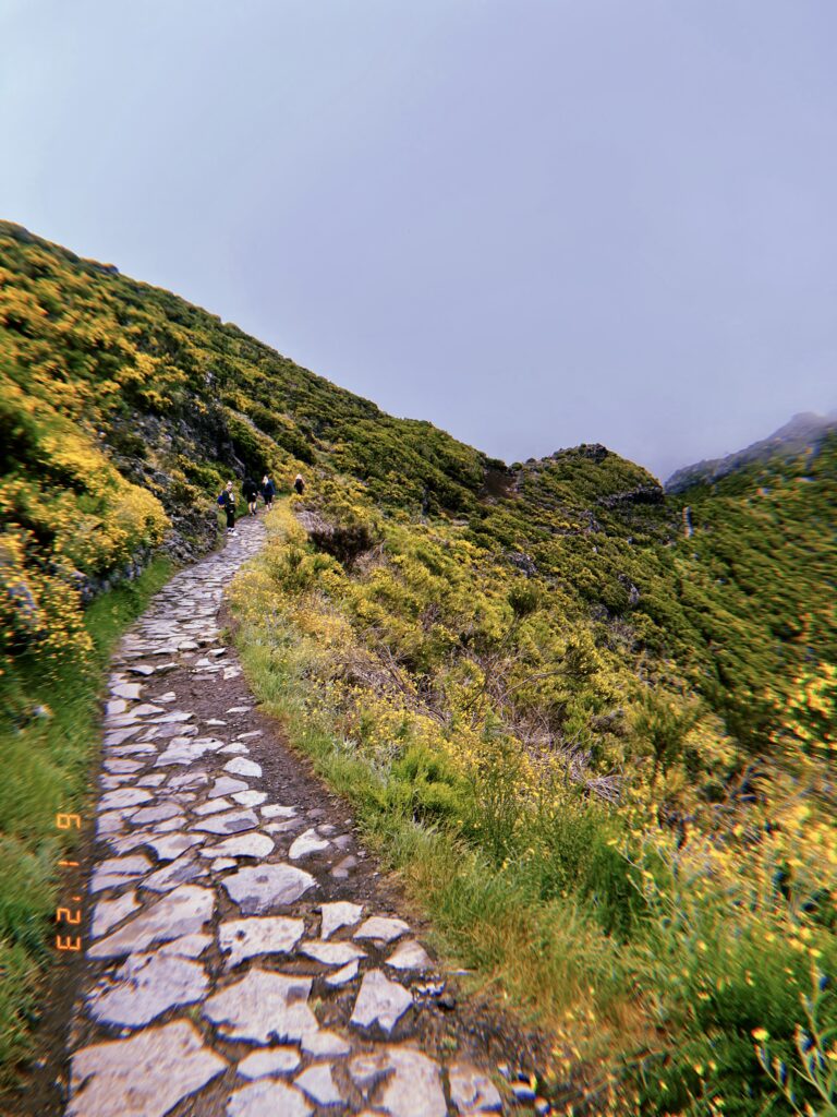 Top 5 Things to Do in Madeira