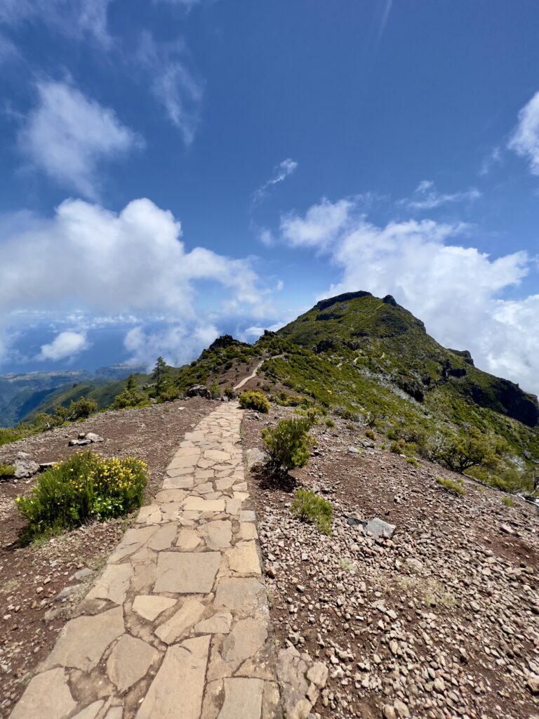 Top 5 Things to Do in Madeira