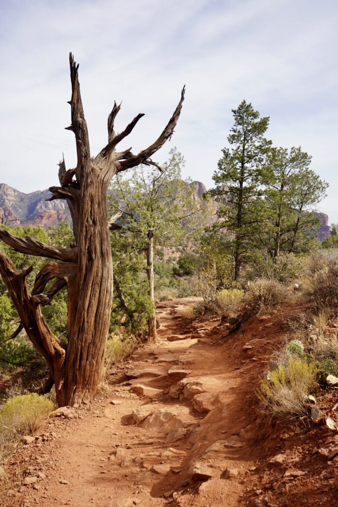 Best things to do in Sedona