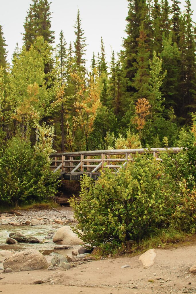 A small wooden bridge over the top of a river for pedestrians.