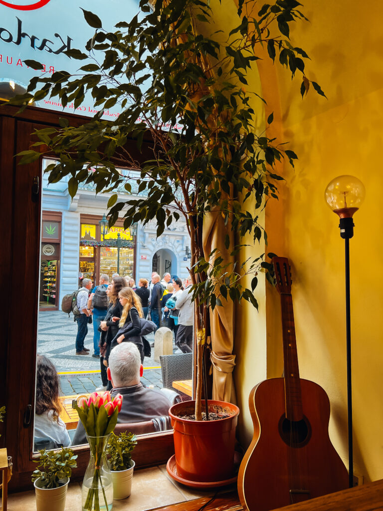 Karlova guitar in the window.