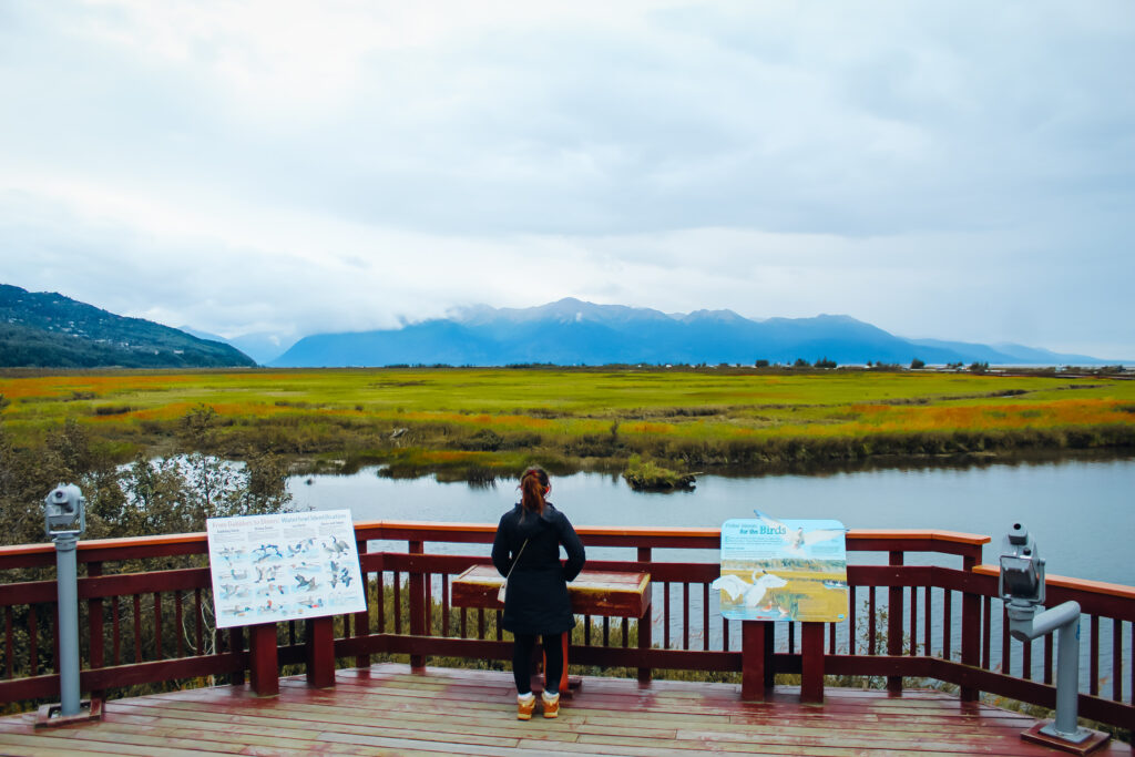A woman with her back to the camera on a wooden deck overlooking wetlands and mountains in the distance.
