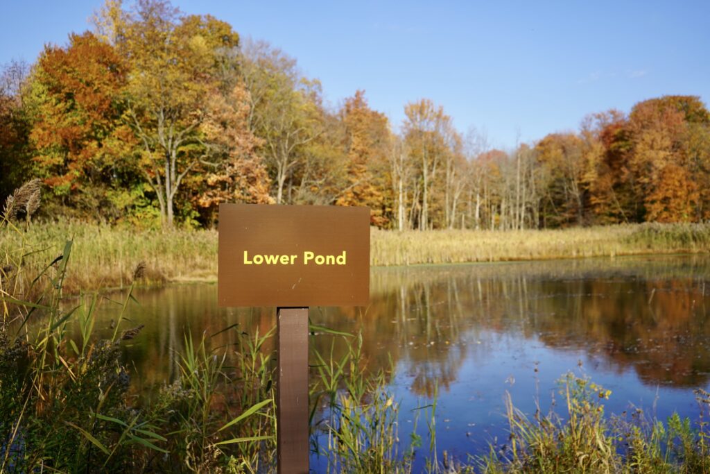 hikes near Buffalo