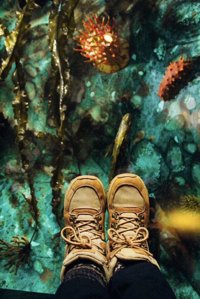 Hiking boots on top of glass displays the fake ocean floor.