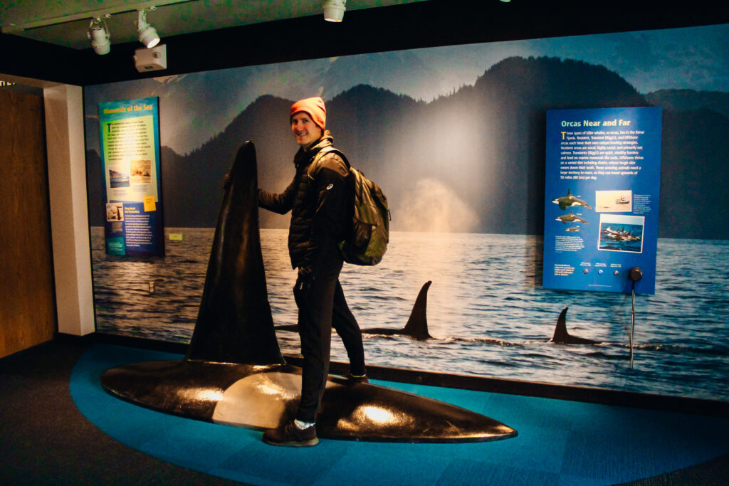 A man pretending to ride on a fake orca's back.
