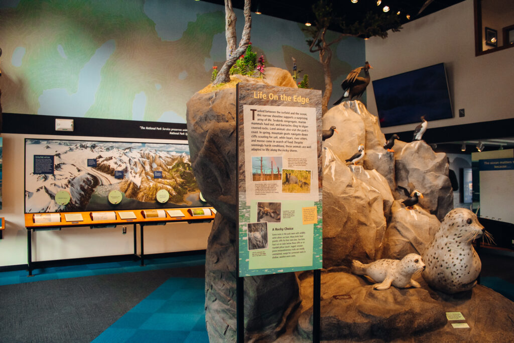Layout of the Visitors Center with displays and a fake seal on a rock.