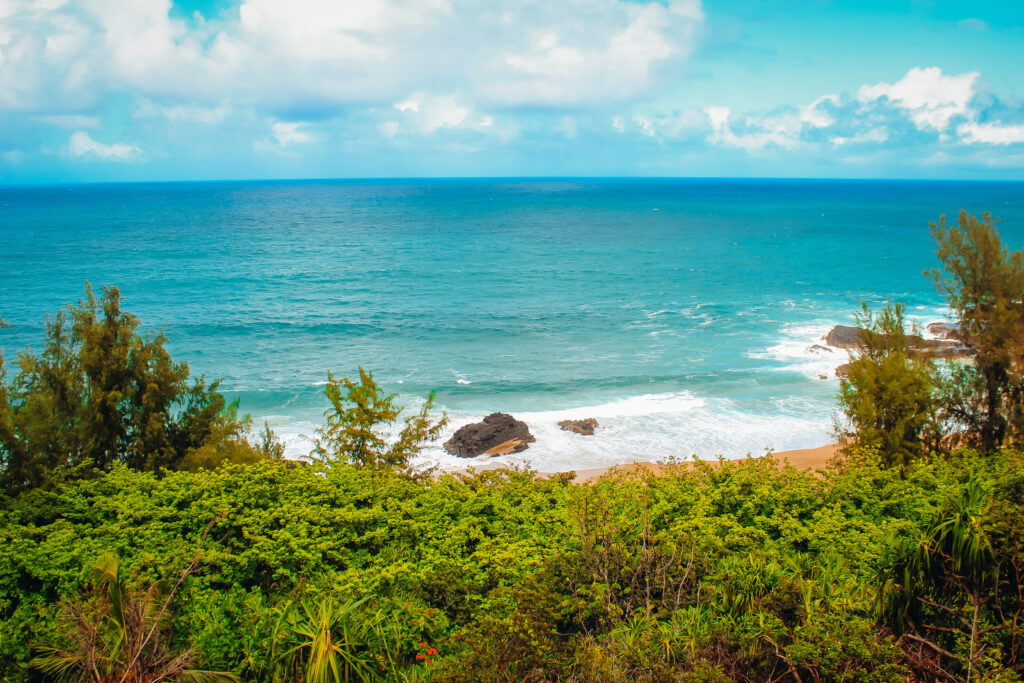 Blue waters of the beach