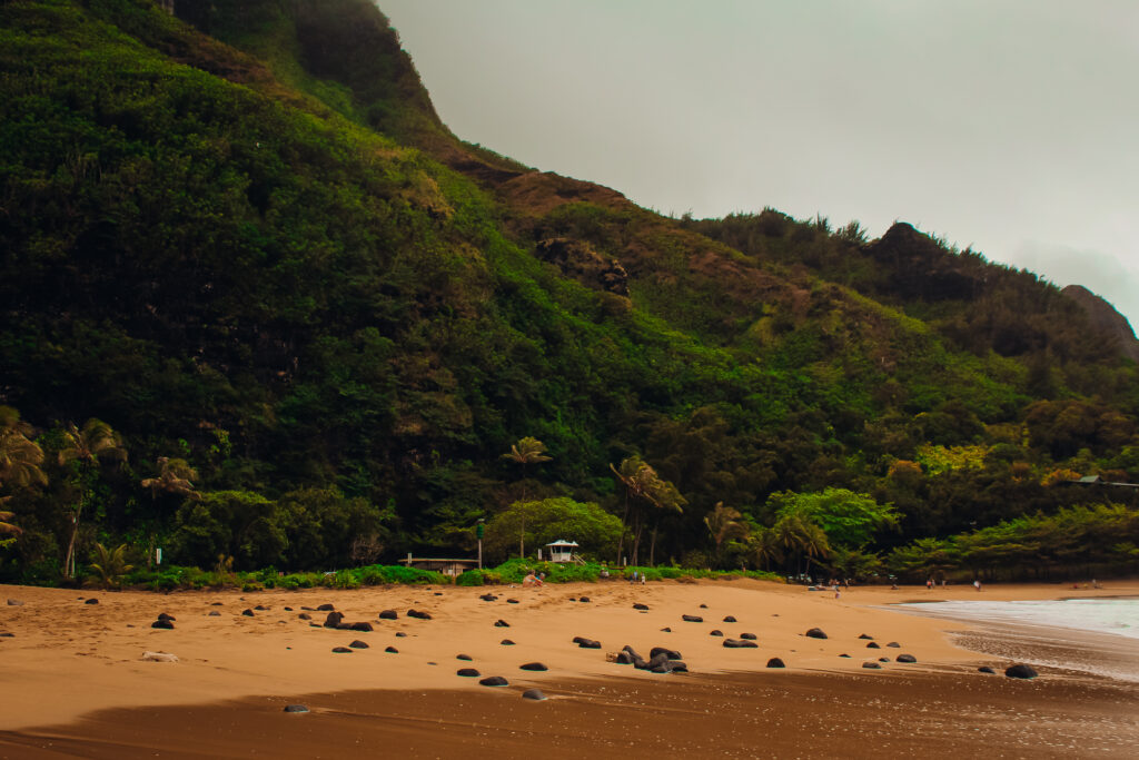 A beach with mountains behind it