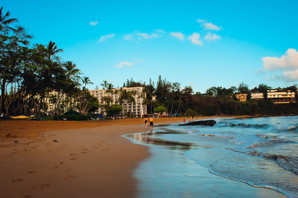 A sandy beach with palm trees