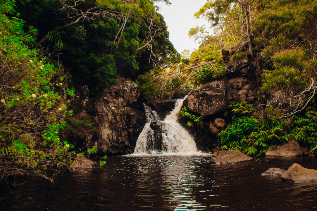 Canyon Trail to Waipo'o Falls