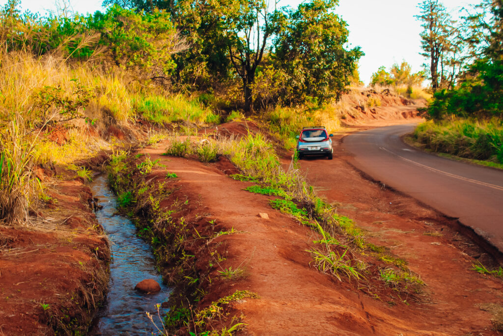 Waimea Canyon