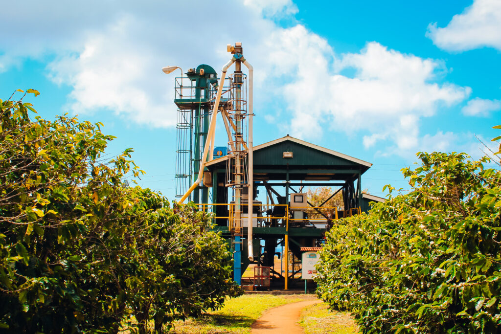 Coffee roasting machine in a field.