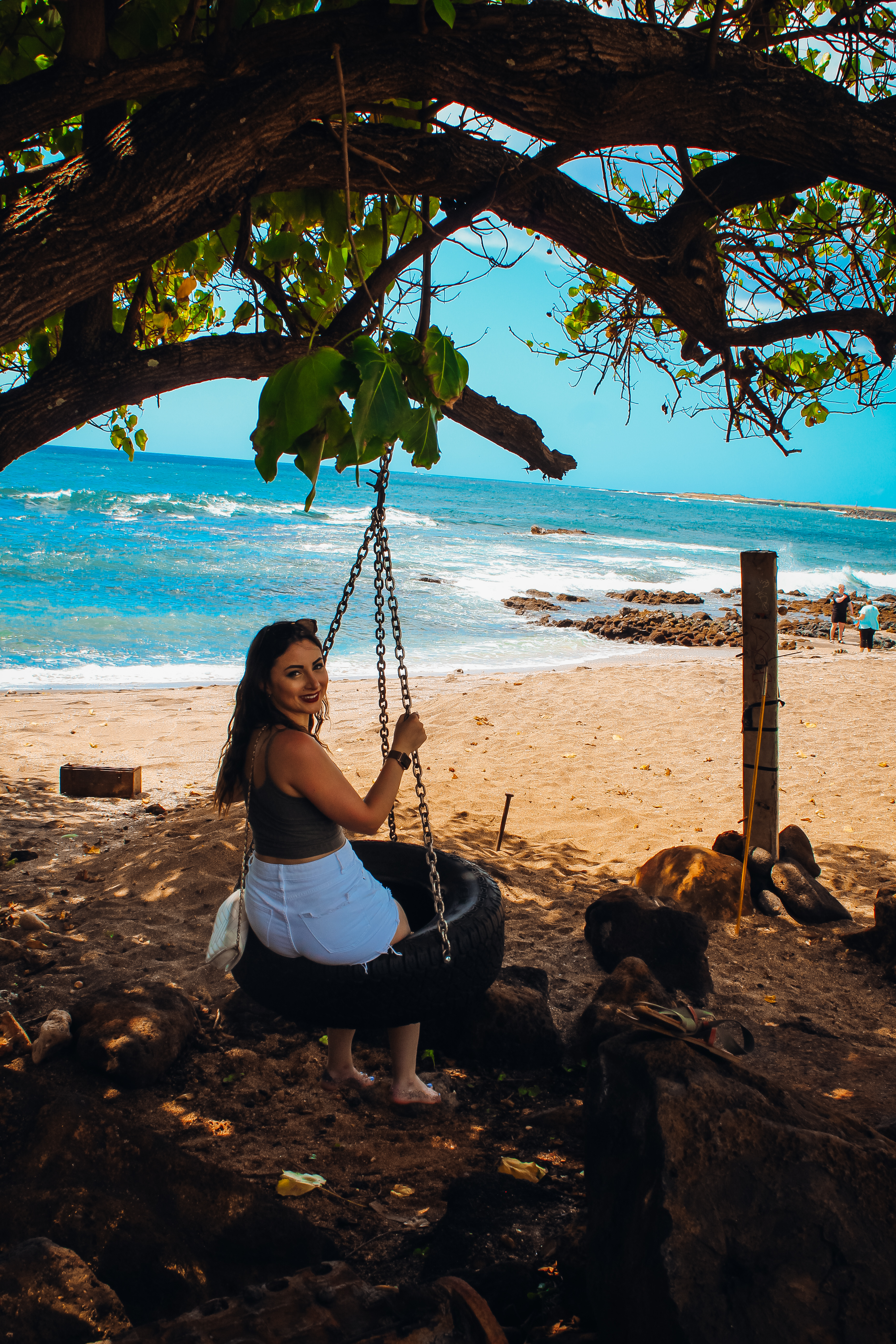 Glass Beach swing