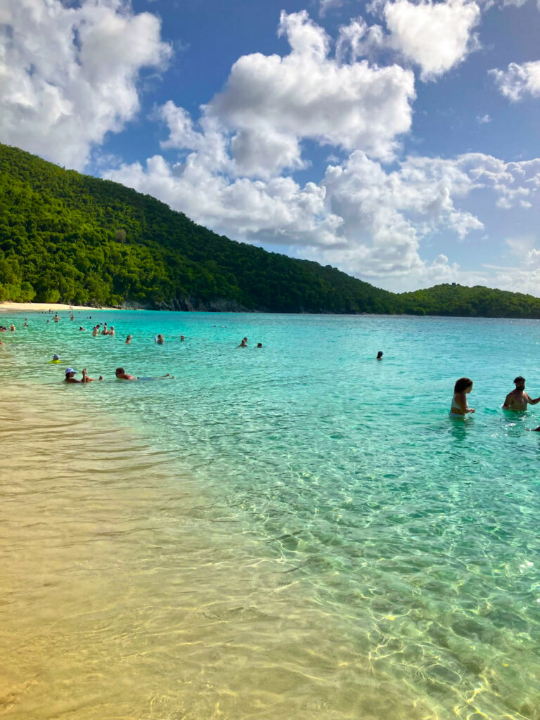 A beach with lush greenery in the background.