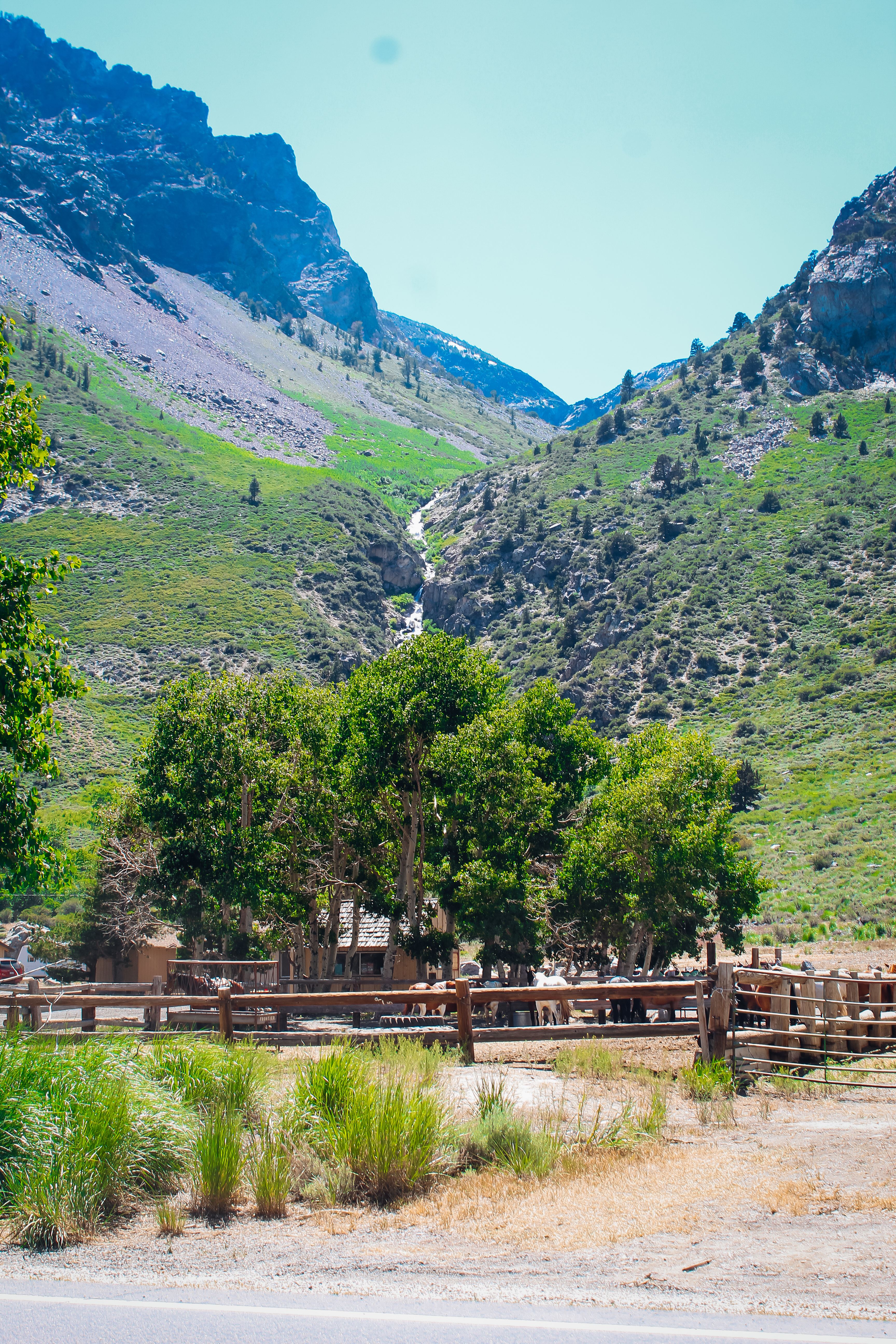 June Lake