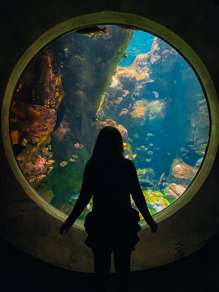 Woman standing in front of aquarium.