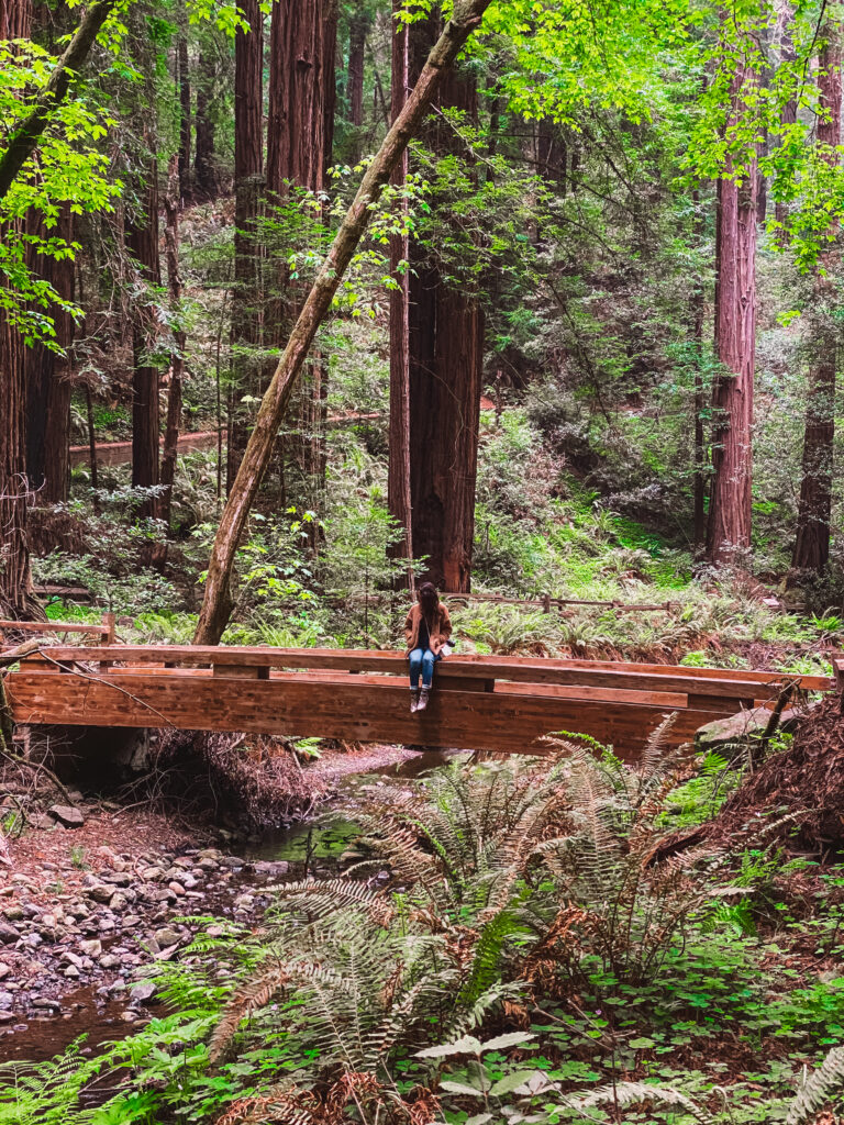 Woman sitting on bridge in forest.