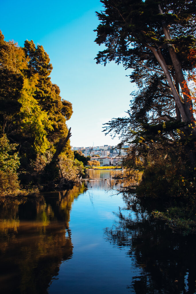 Pond with a view of the city.