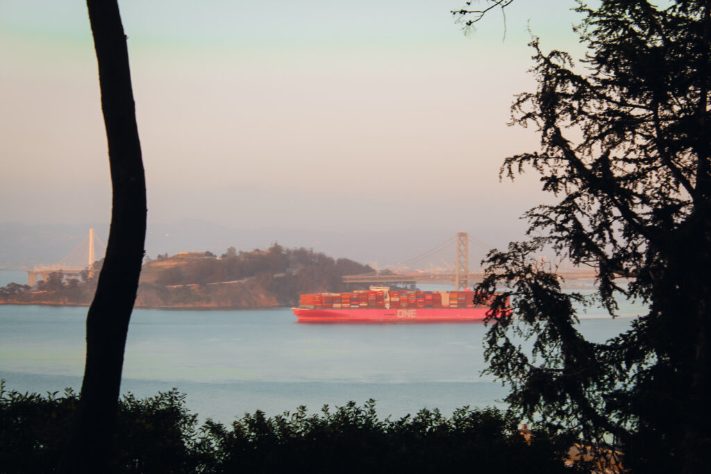 Coit Tower view