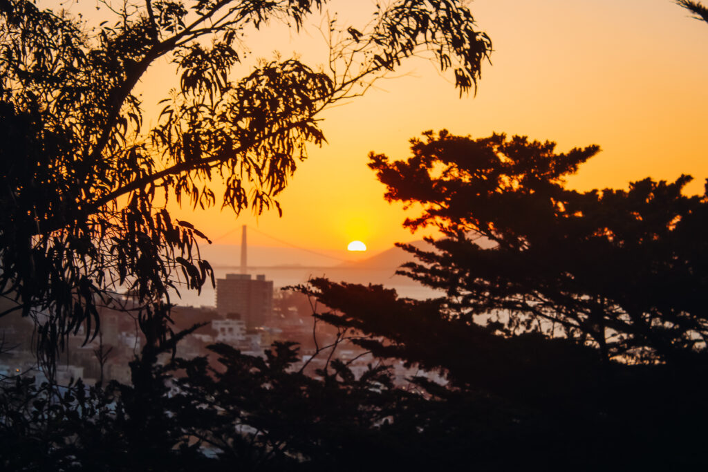 Coit Tower sunset view