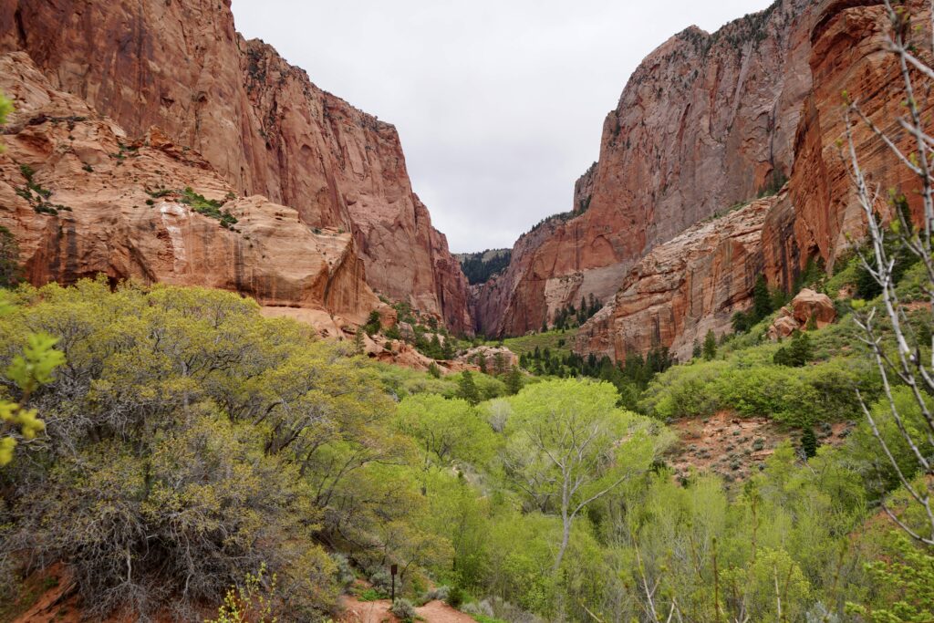 Ultimate 3 Day Zion National Park Itinerary