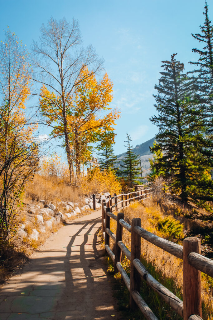 A path next to trees.