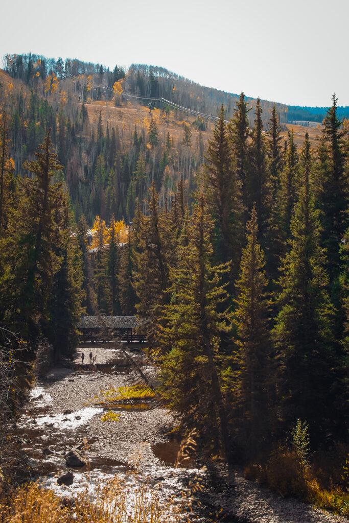 A family by a creek.