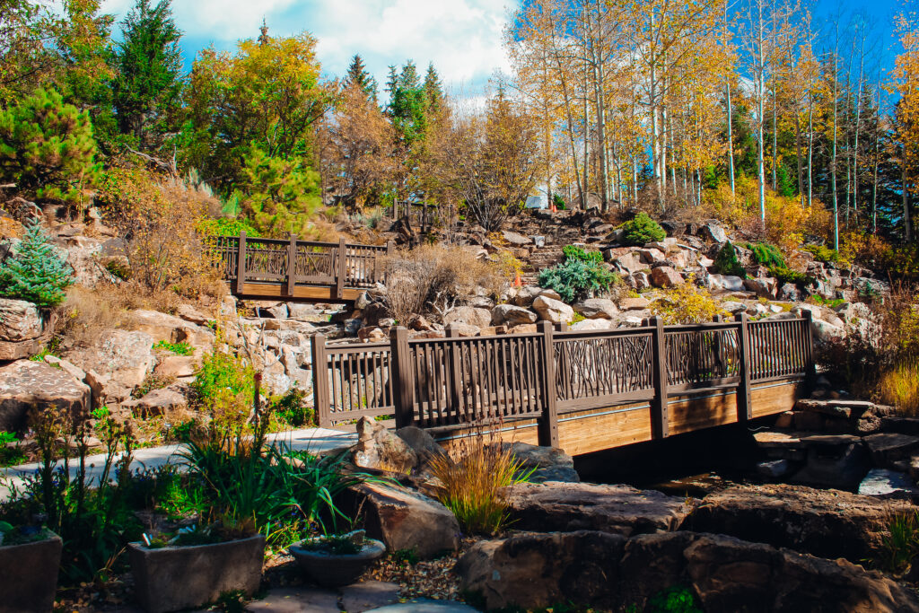 Bridges through a garden.