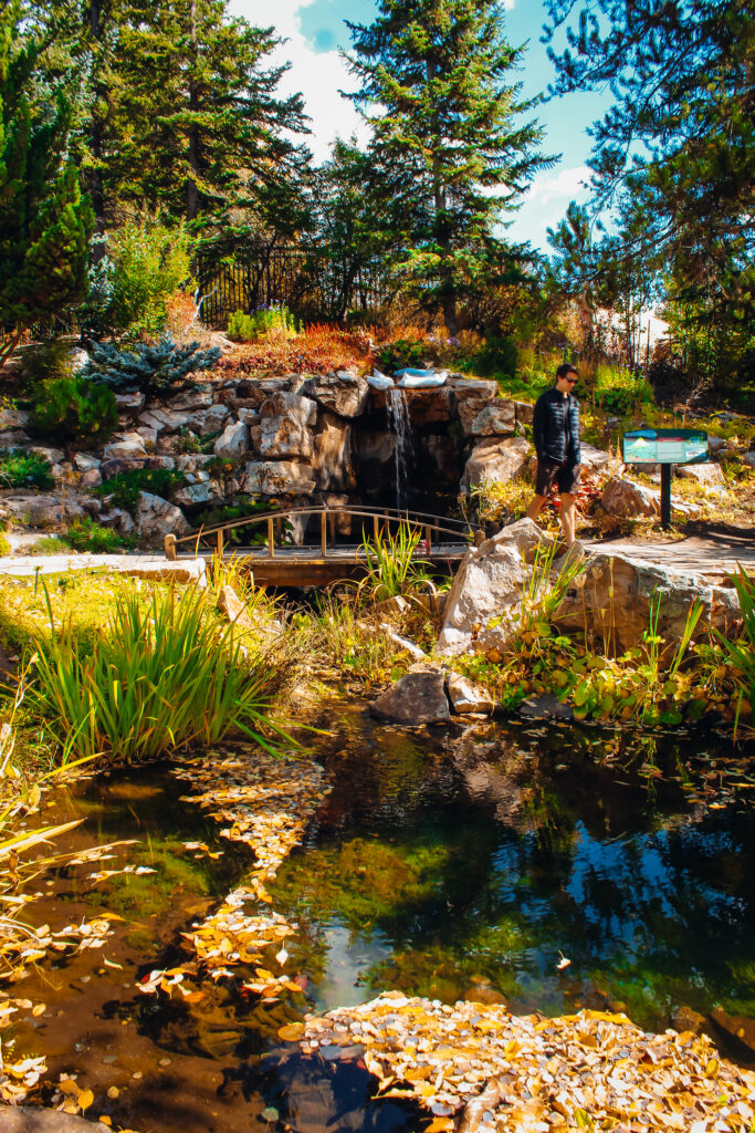 Man standing in front of waterfall in garden