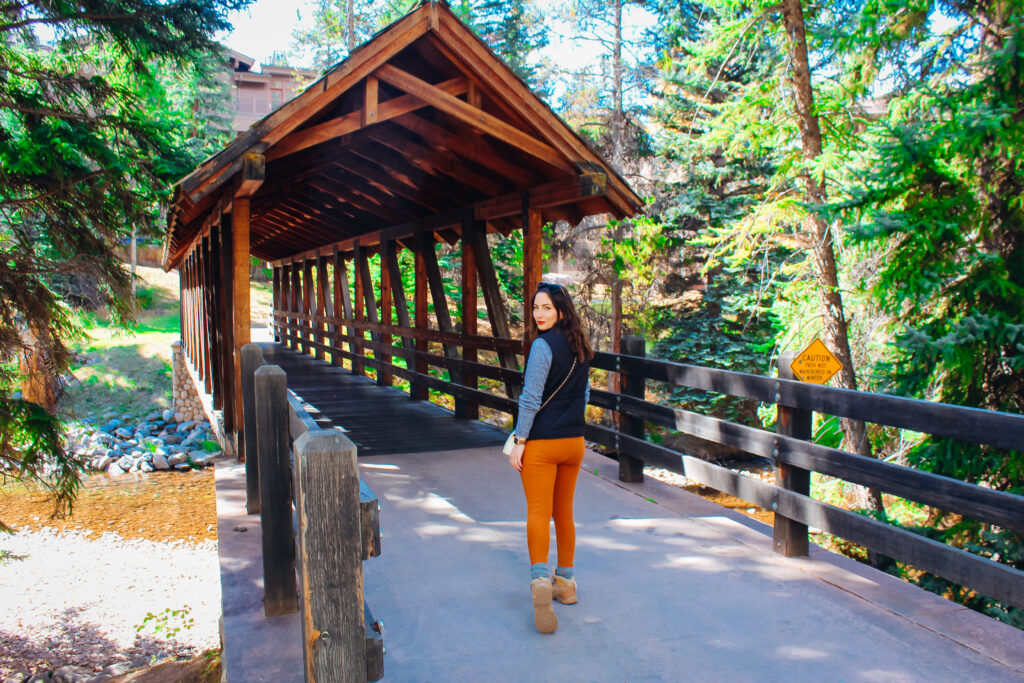 A woman standing in front of a bridge.