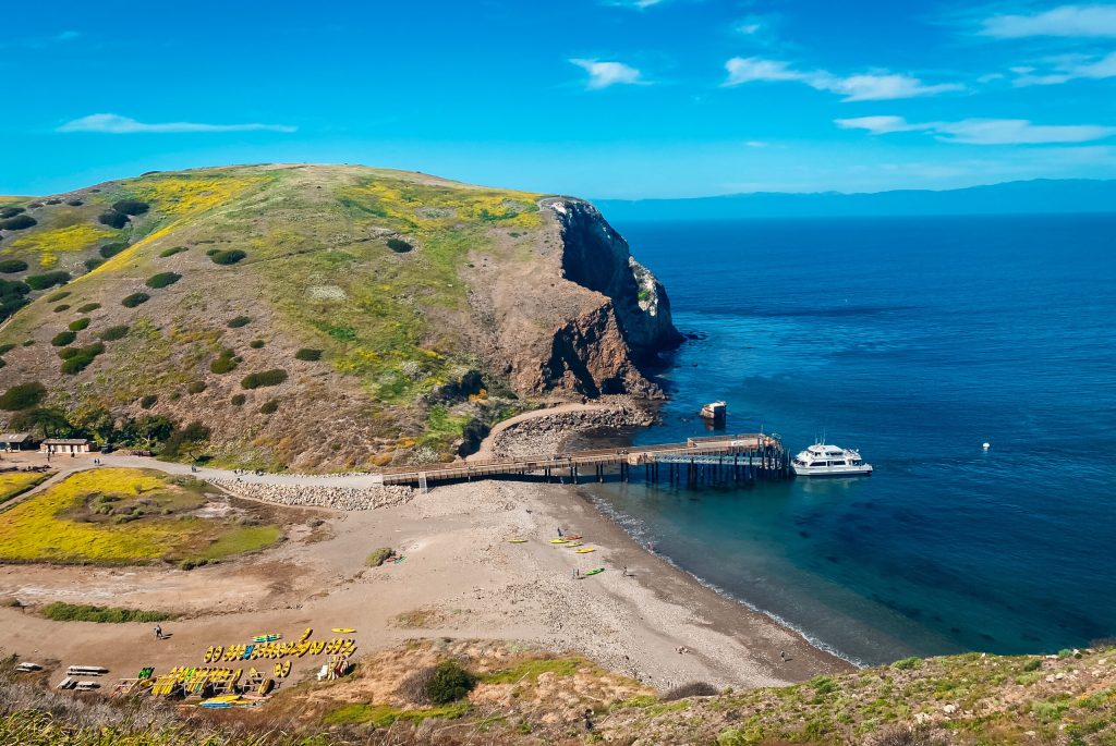 Santa Cruz Channel Islands by Anna D'Arcy